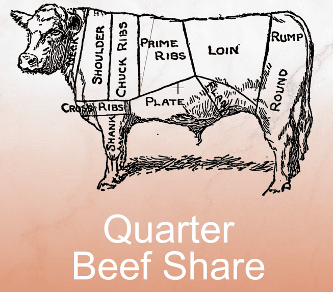 Quarter Cow (1/4) Beef Share